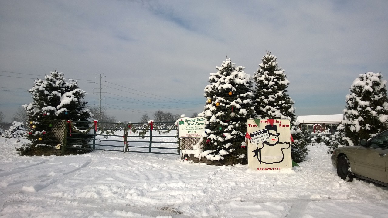 Spring Valley Tree Farm entrance in the snow