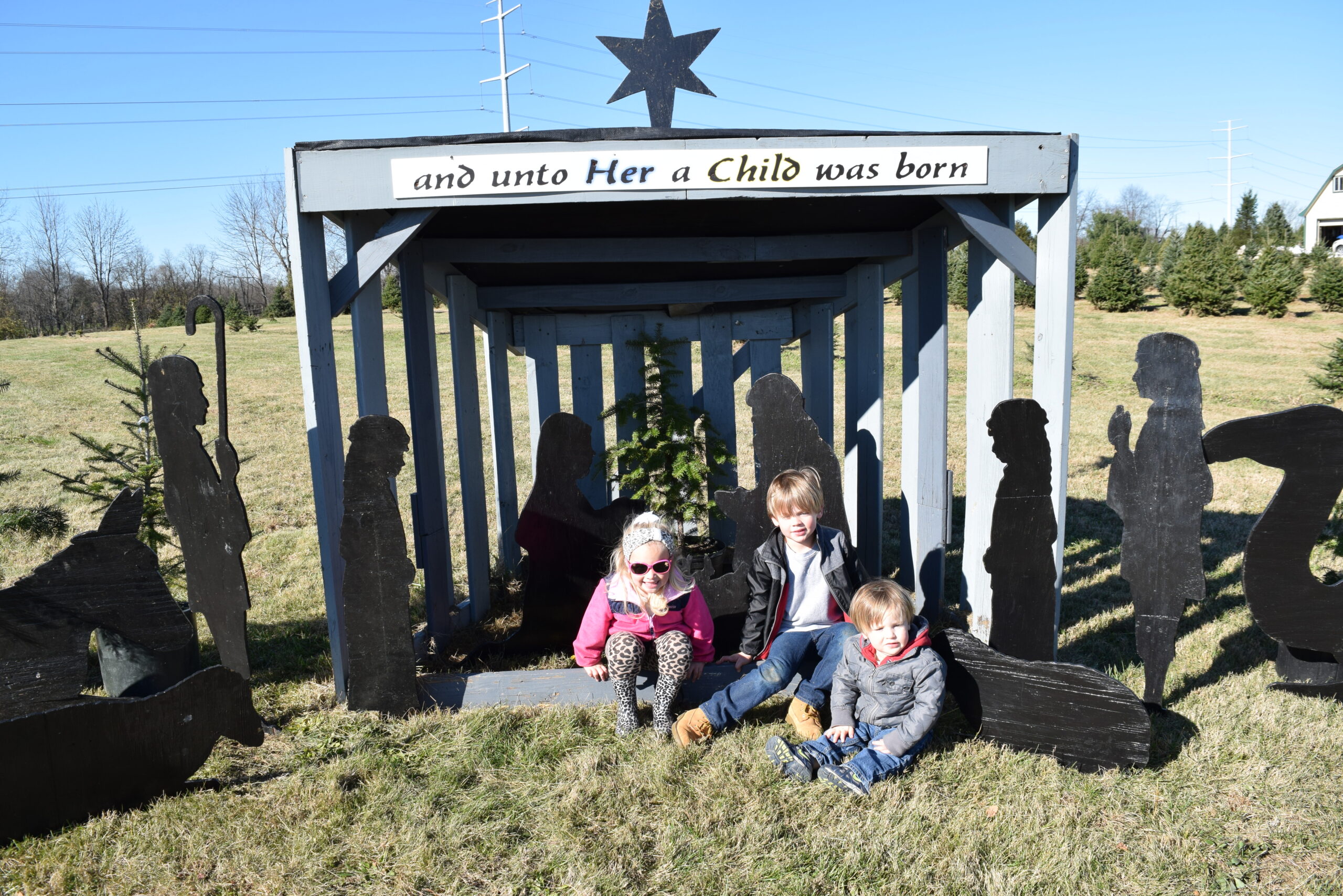 Manger scene at Spring Valley Tree Farm