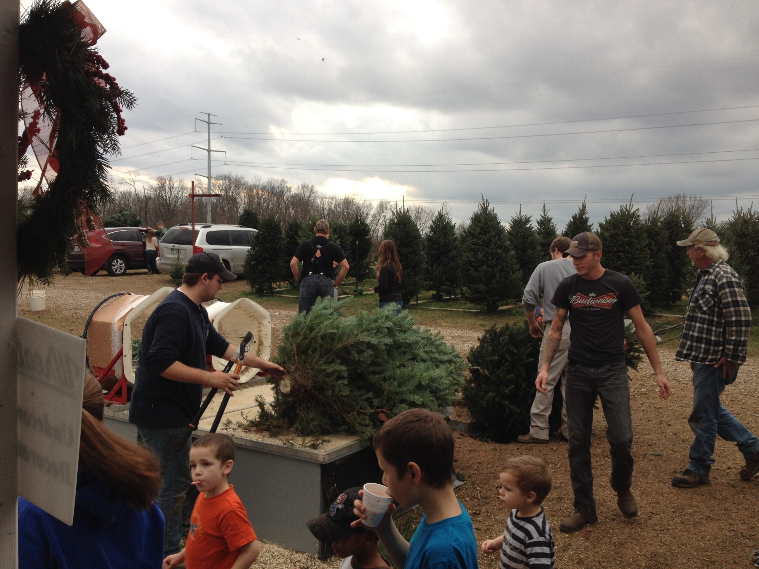 Families at Spring Valley Tree Farm